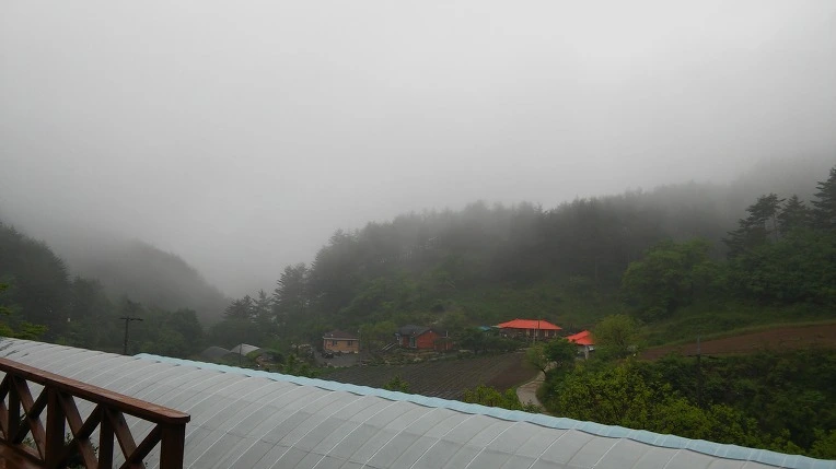 2373244C5924D6AE2CE803