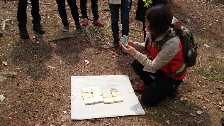 266A1650570965D91F81DB