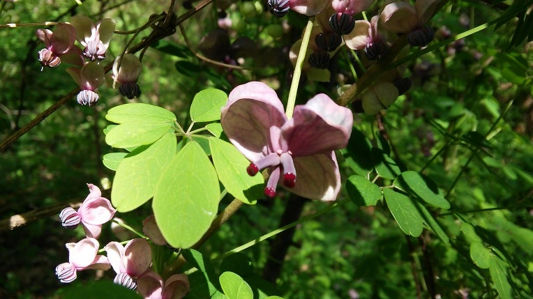 242E7D35564E7CE6239E7B