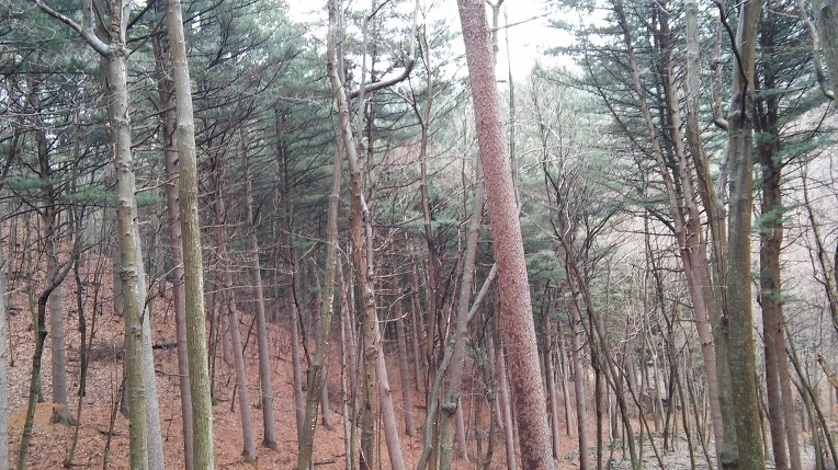 275FC83356EB9CA60F3718