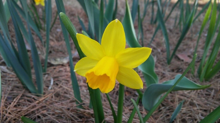 2707674956FE1C501048F4