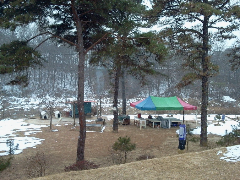 156A2A3D4F0620C530030D