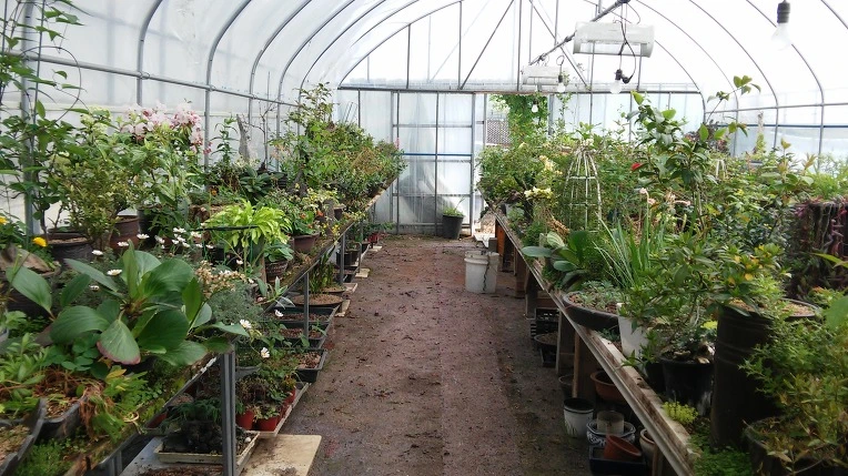 2137684757246935307871