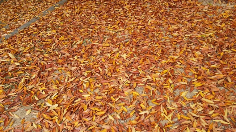 267640385625E59A1D3700