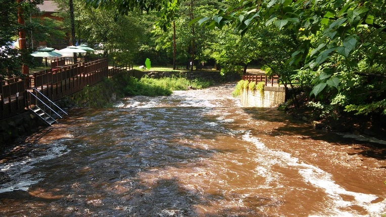 99EF6D33598F7B5316AABF