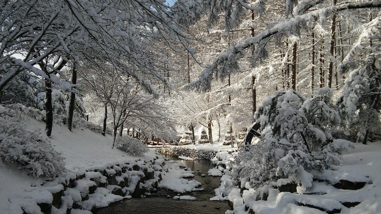 2416C038568CF96410722B