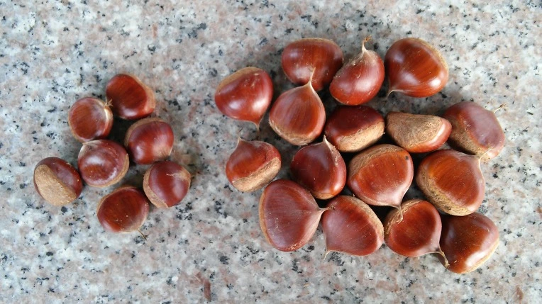 233B064E57DE0229320CE0