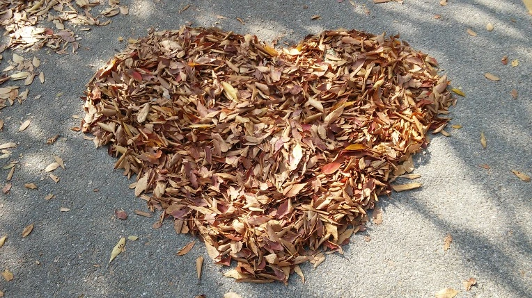 24568535562A9F0E03DB73