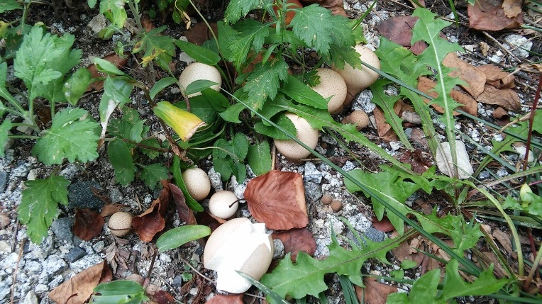 24702A3B55F283F1092518