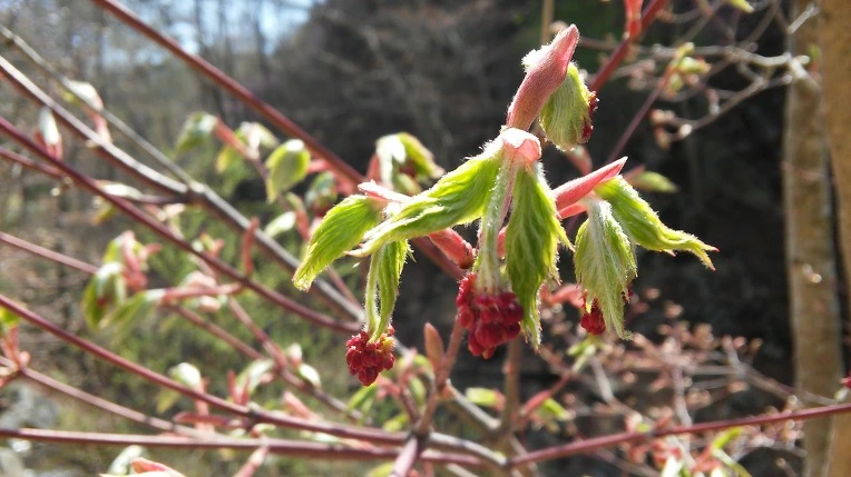 25419B4658F7E02C0D3F20