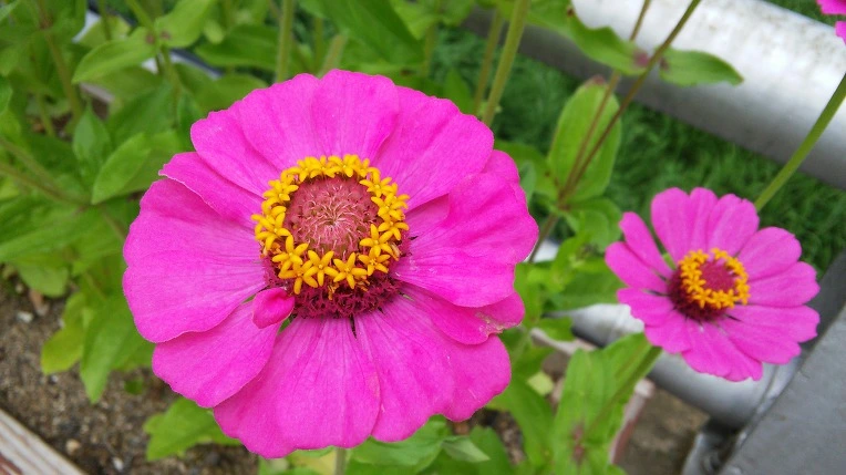 99151D33599E27AA0AB29E