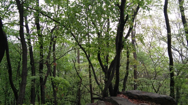 217BD94F571AD0B116FEFB