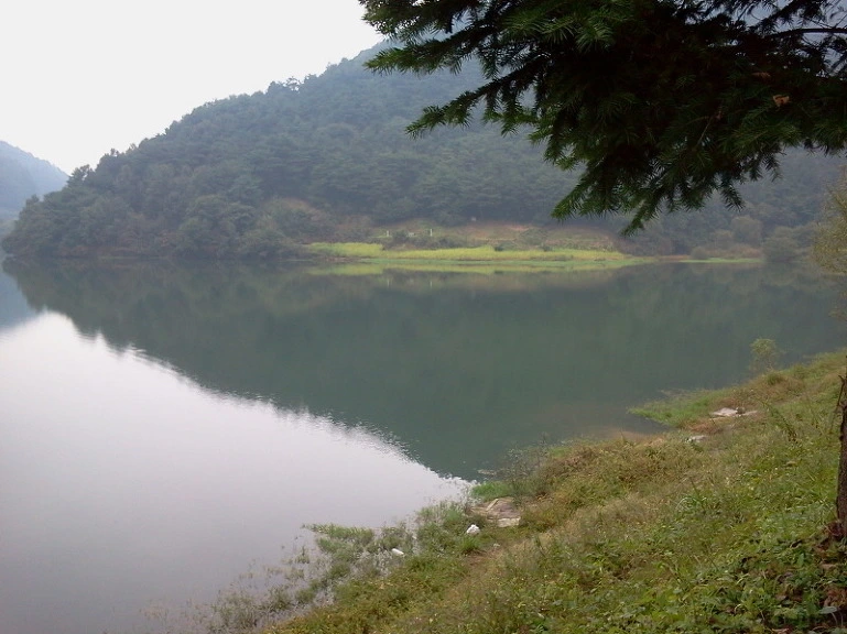 132AE13E4E8DB608131E82