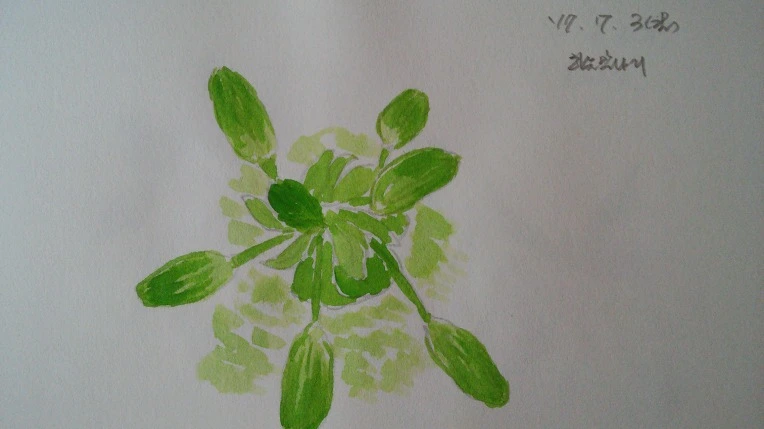 2146443F595DCBF5375F5A