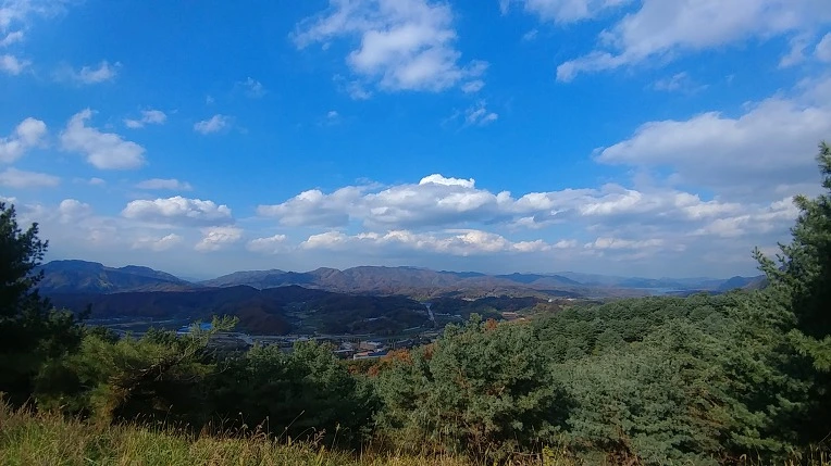 998D9B365BD6ADA21DAF77