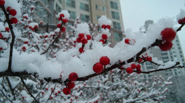 213082335878ACAB19D3DD