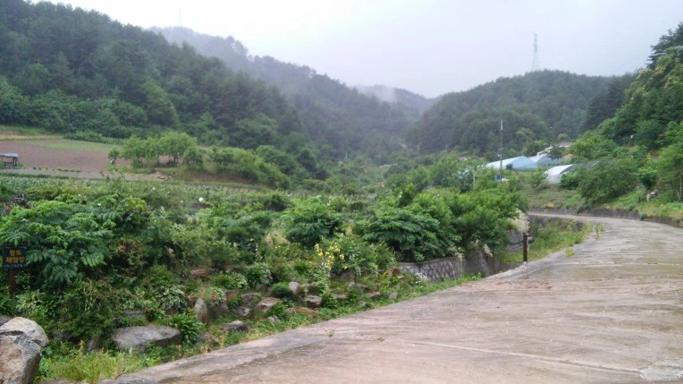 241E344B59596CFF1AD549