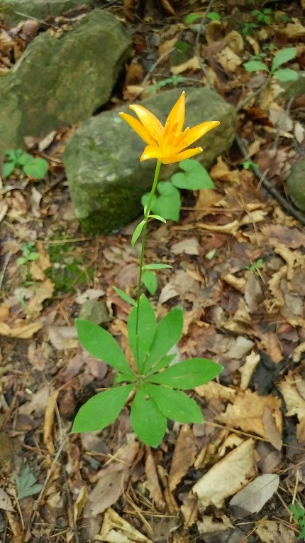 9931DD3E5DBE688535088C