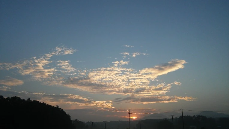 263C1E4457C4C12B065B55