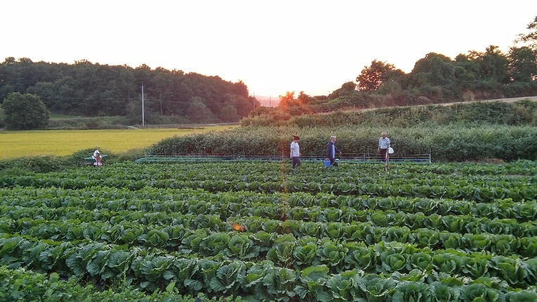 2748A550560891D6326CBB