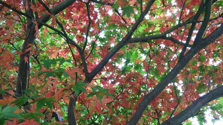 2142BD46560FBD0F202A83