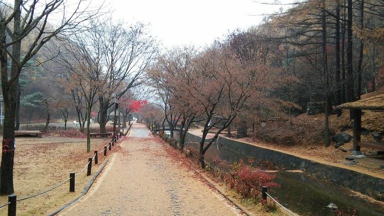 2164D84157AE945811A5BB