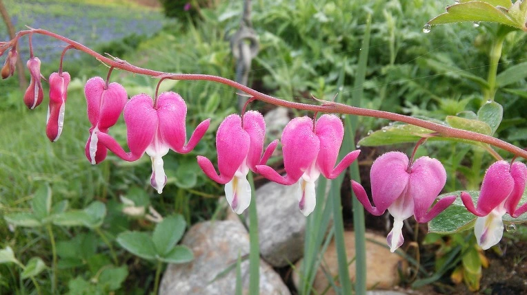 2134B934572E66D82A8310