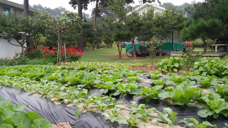 2563C24D57D5E2622FC899