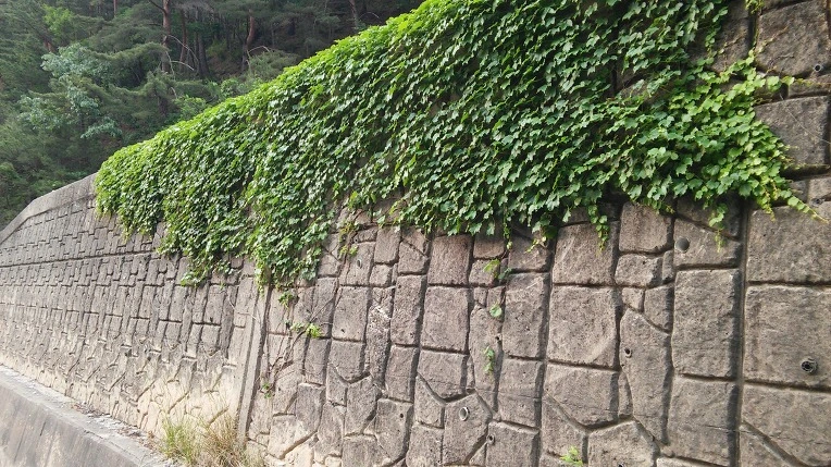 236ACE4259300A0D2C5C56