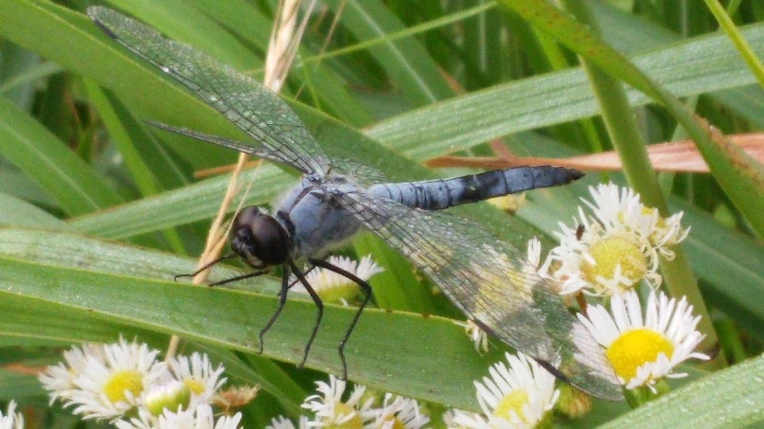 2660F7435770718E2C591F