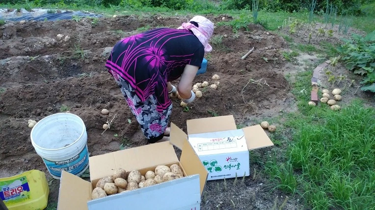 997298495B3D58501DC782