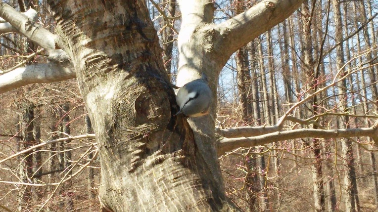 2735AF3B550139A113A698