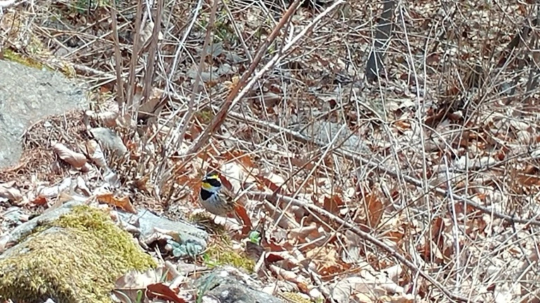 99344C485AC8A2201FF803