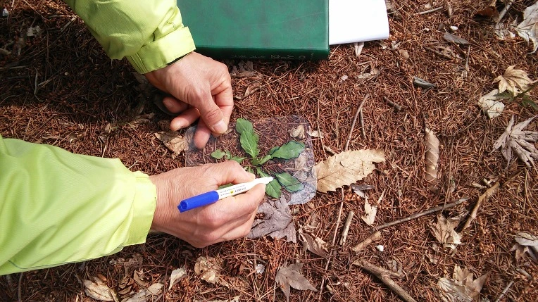 2510D24F570965DE2129B8