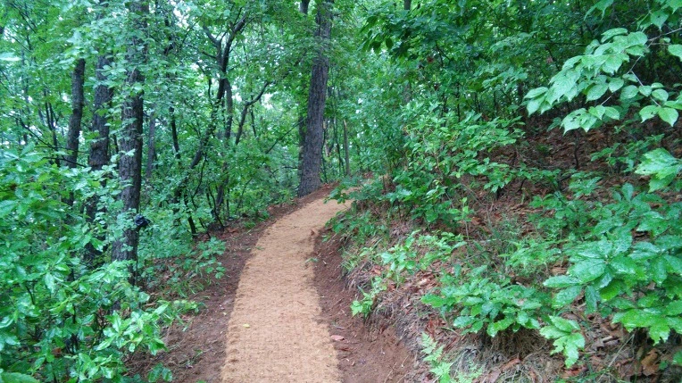 2404434A57311838259193