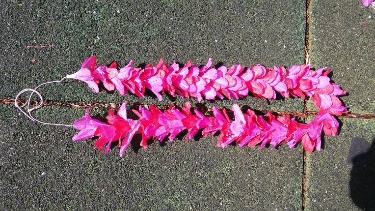 2742E3445553066A077F74