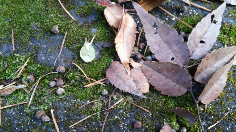 23508B3B56721157115226