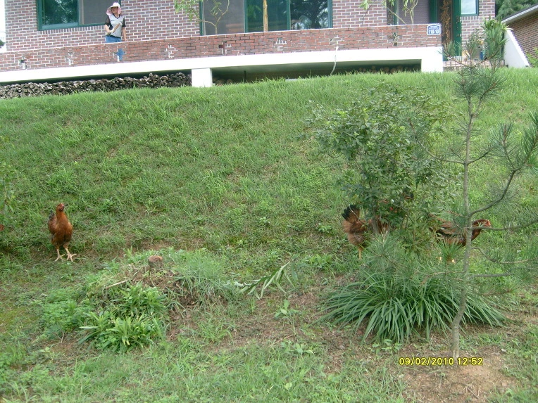 1216061A4CA5BE4D593915