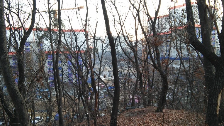 262CD74D58A7C325091712