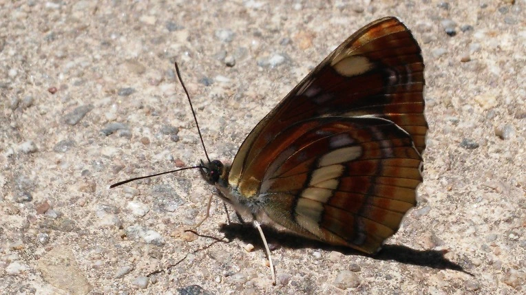 2640563B59339B5B0671A4