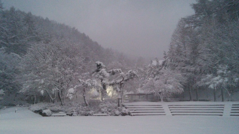 2644A93F566008FA03E9DC