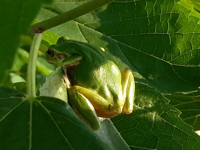 213C084A56B026780B7307