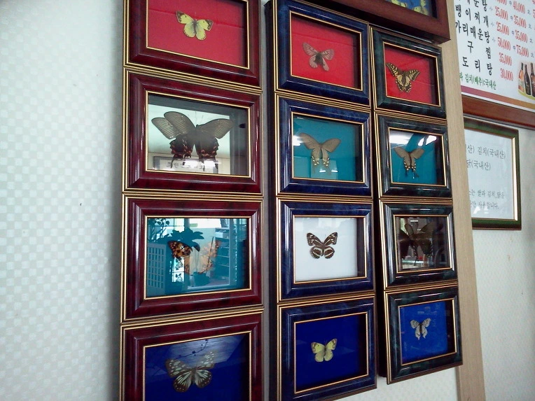 2328DF495147FDA0243EE8