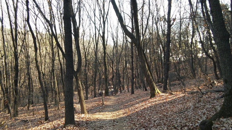 250BFB505853B834108416