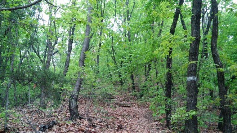 24508647571ACEEC143AC9