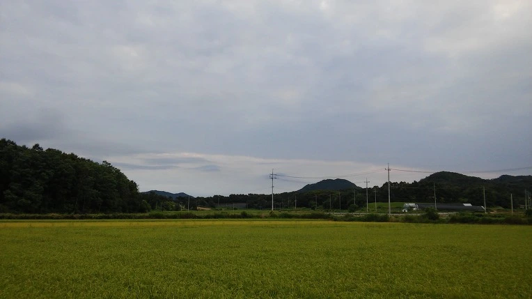 222A164257BCEB6F099C1F