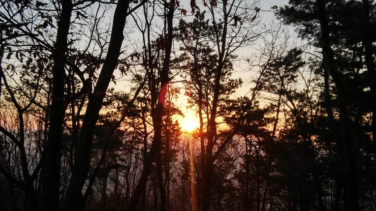 2342DC4D58A7C321158DA8