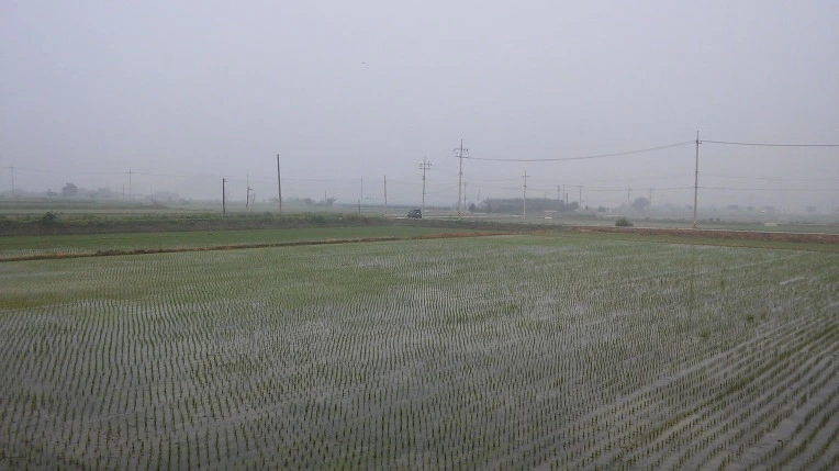 26236542574633FA02DF1D