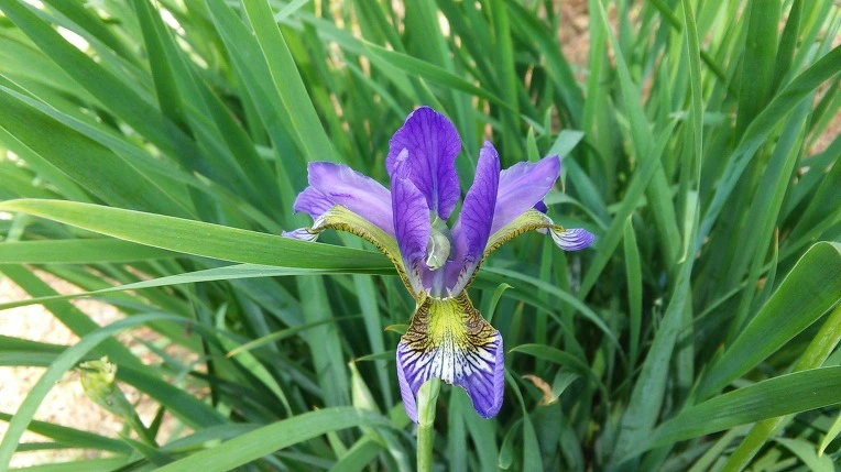 26797133573A59E933AE23