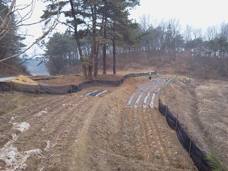 1513A44B4F726C531D68FE